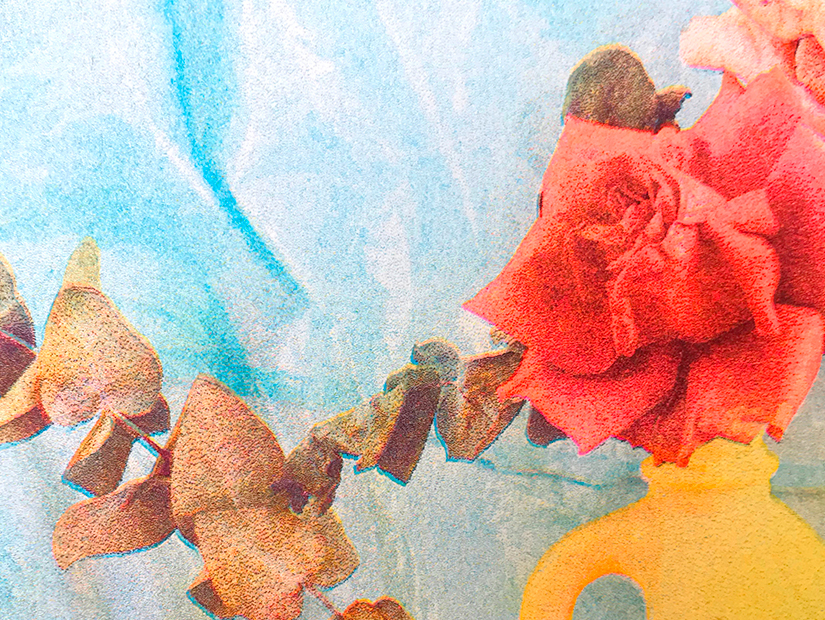 Impresión en risografía de la fotografía de Alejandra Amere que muestra un bodegón de flores y productos de limpieza.