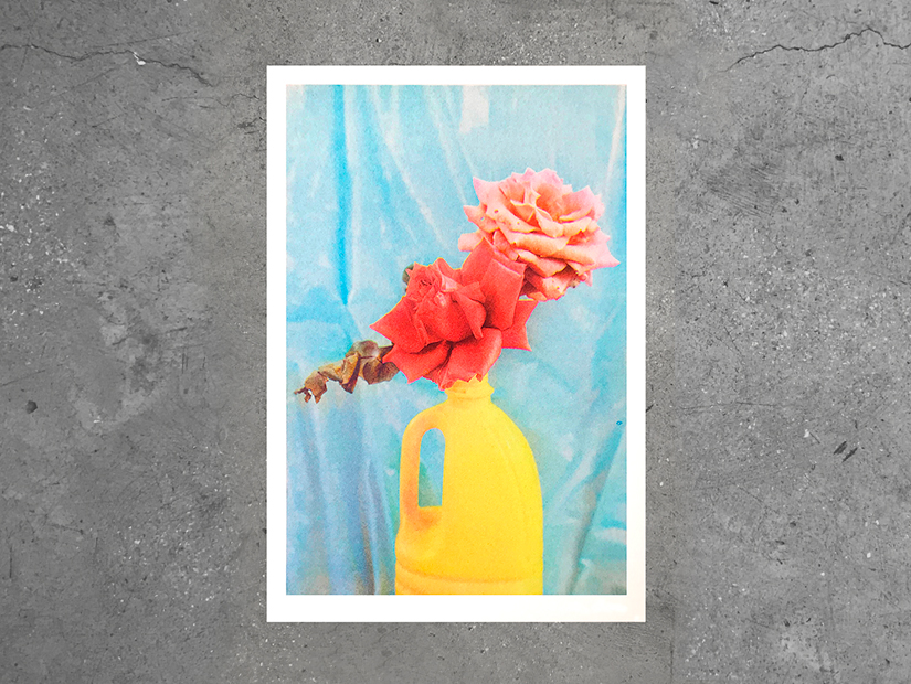 Impresión en risografía de la fotografía de Alejandra Amere que muestra unas flores en una garrafa de plástico