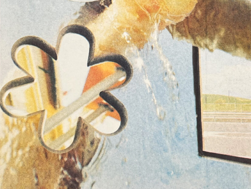 claudia ihrek, un caminito largo, riso, a3, foto, print, sevilla