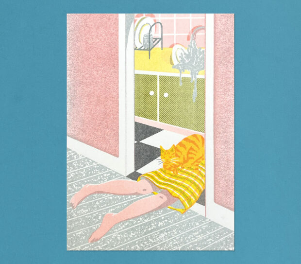 cohete fernandez, riso, risoprint, a5, fregar me mata