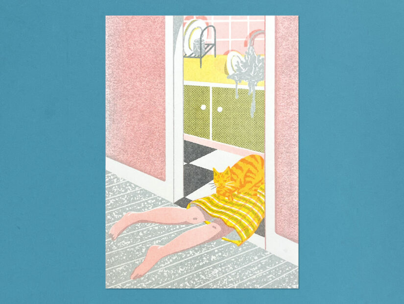 cohete fernandez, riso, risoprint, a5, fregar me mata