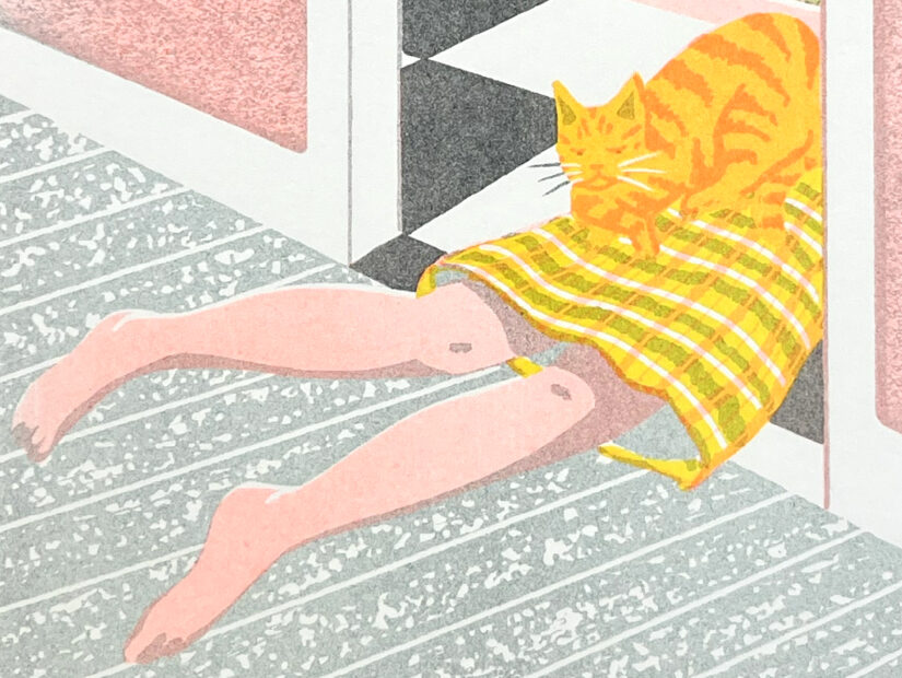 cohete fernandez, riso, risoprint, a5, fregar me mata