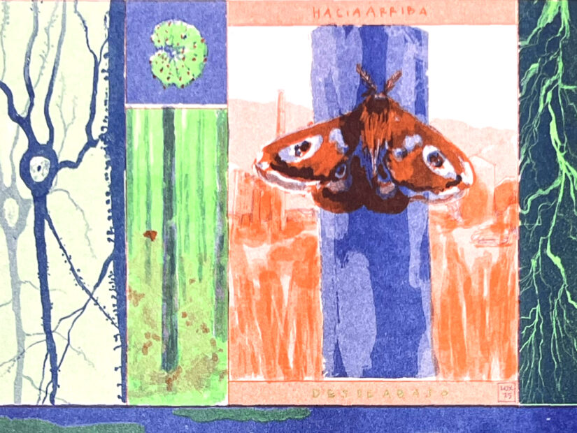 desde abajo lux, riso, print, madrid