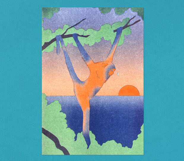 la última mariposa maria medem risoprint, riso, risograph, ilustracion, a5