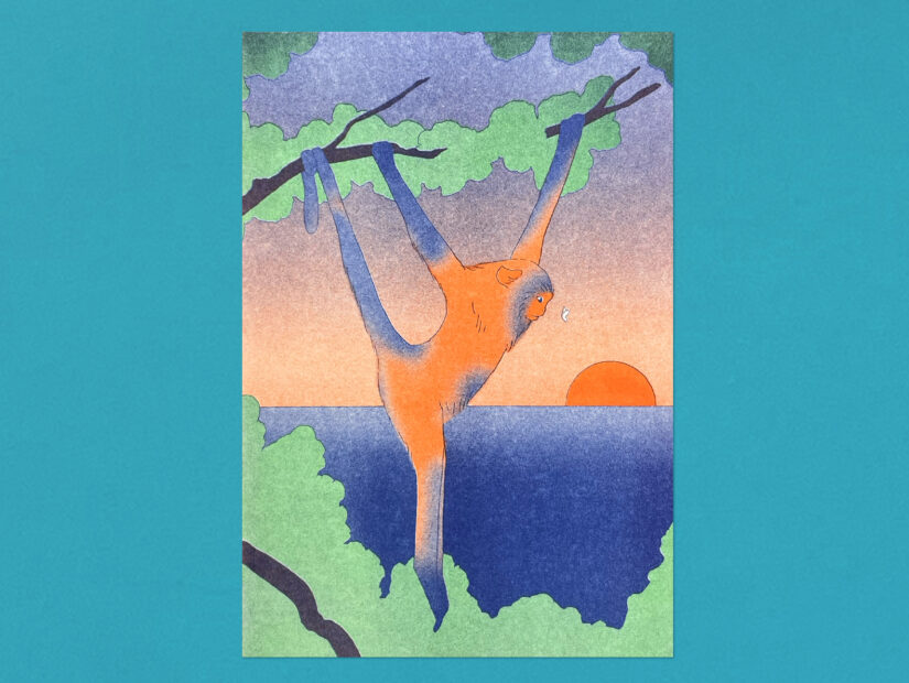 la última mariposa maria medem risoprint, riso, risograph, ilustracion, a5