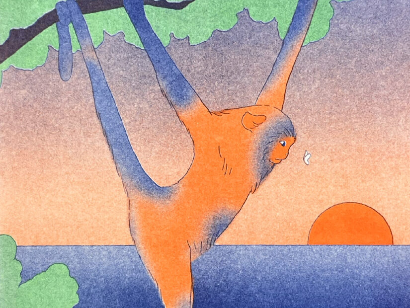 la última mariposa maria medem